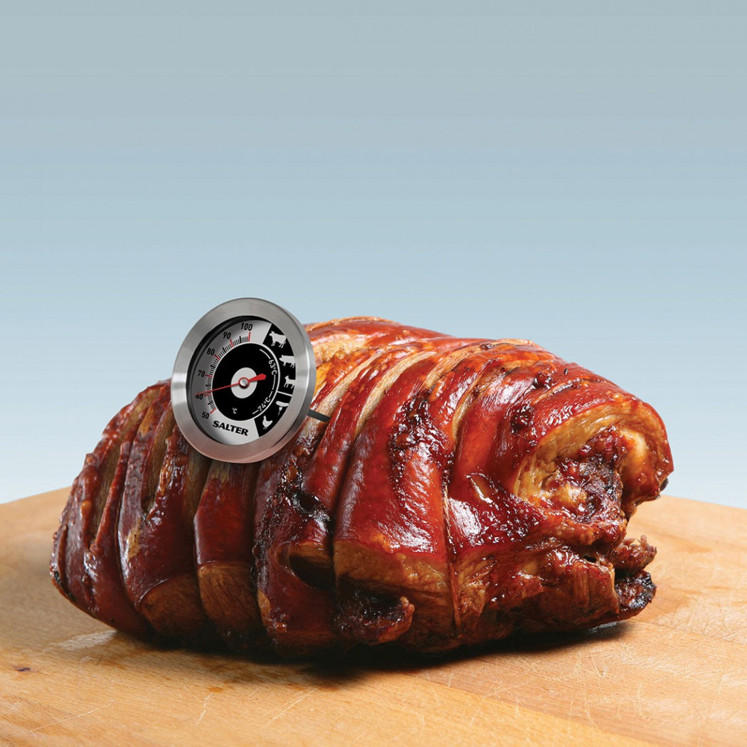 Salter Meat Thermometer